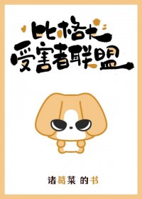 �ȸ�Ȯ�ܺ�������