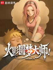 ��ӰԲ�δ�ʦ��