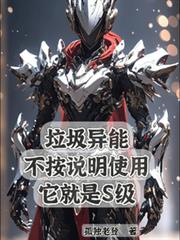 �������ܲ���˵��ʹ��������s��