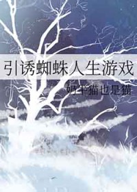 [����ͬ��] ����֩��������Ϸ